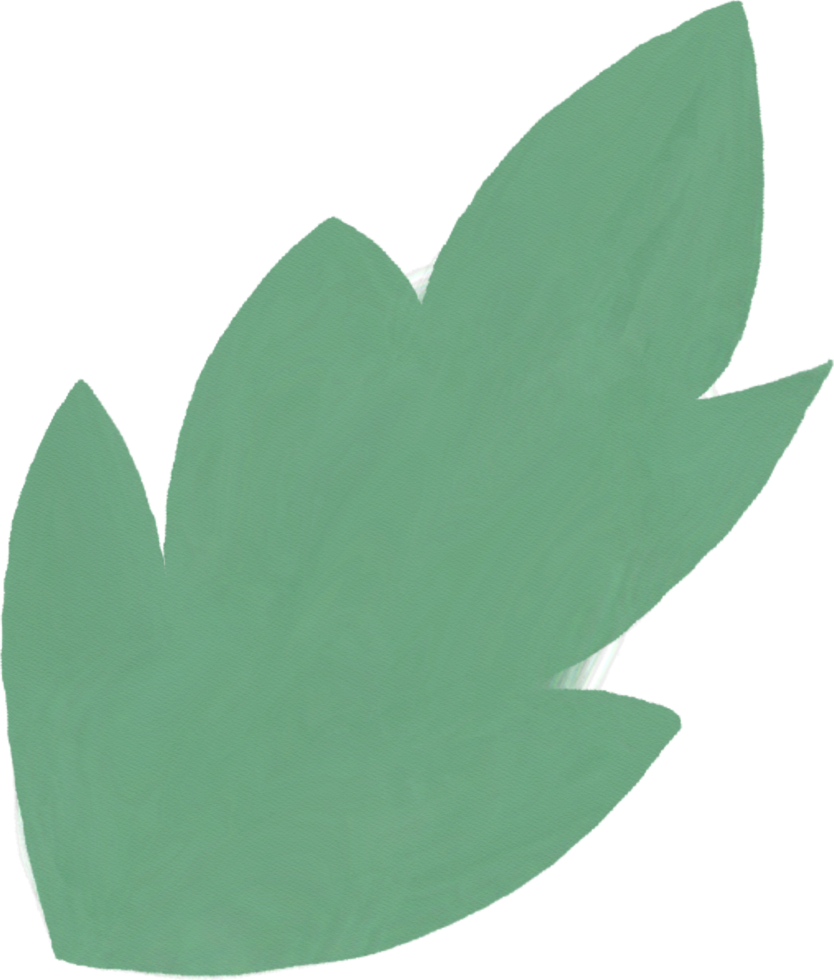 watercolour green leaf png