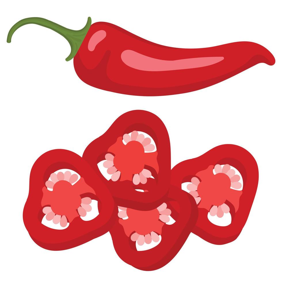 Red hot chili pepper. Slices of chili pepper. Vector illustration of red chili pepper. Isolated image of chili pepper.