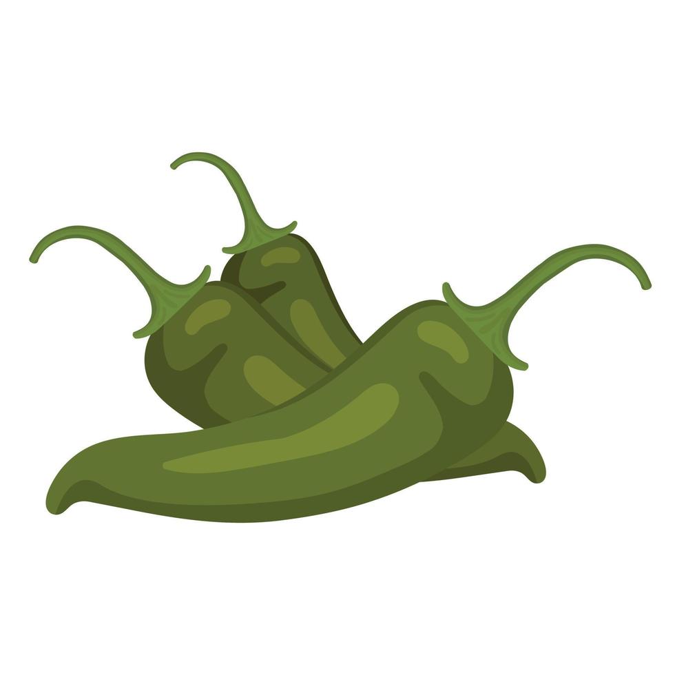 Green hot pepper.  Vector illustration of green pepper. Isolated image of pepper.