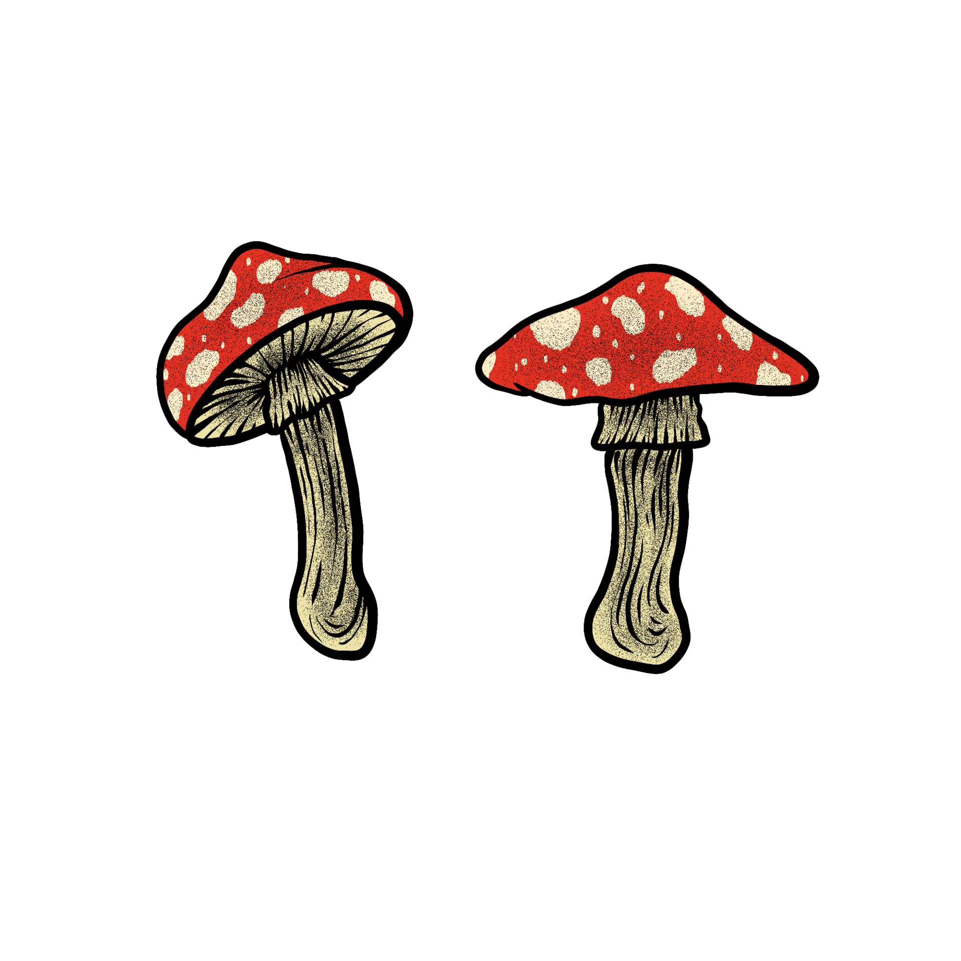 Mushroom drawing illustration. 15339402 PNG