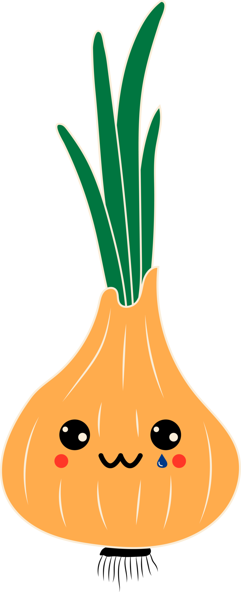 Green onion with kawaii eyes. PNG in cartoon style. All elements are isolated 15339437 PNG