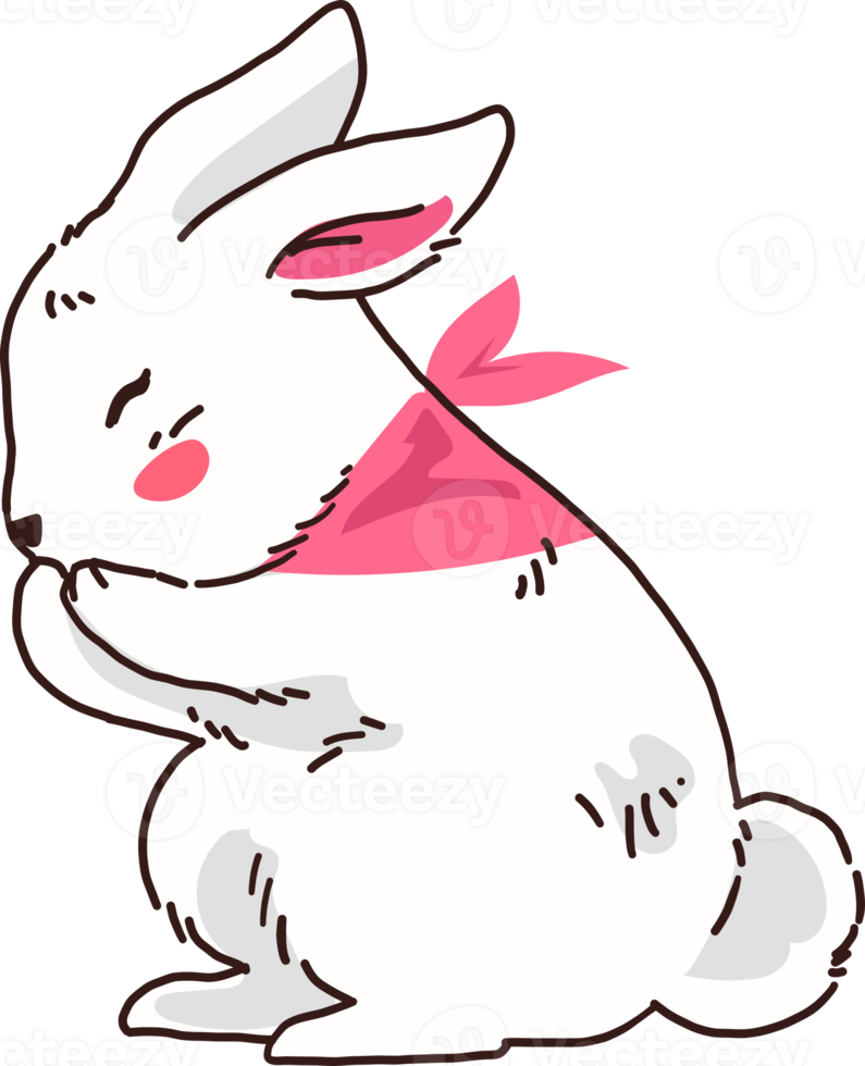 White Rabbit Bunny with Pink Scarf Winter Illustration png