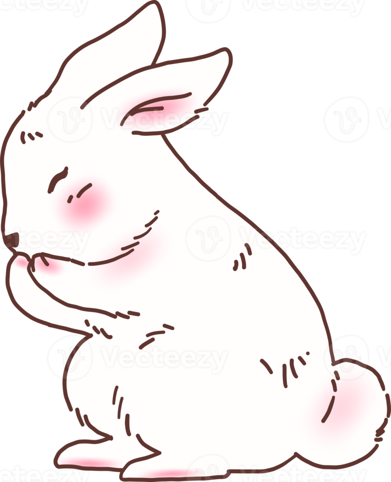 illustration de lapin lapin blanc png