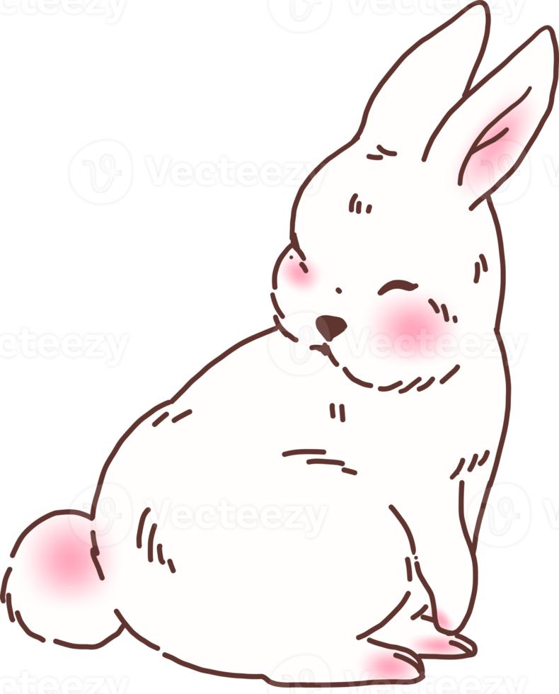 illustration de lapin lapin blanc png