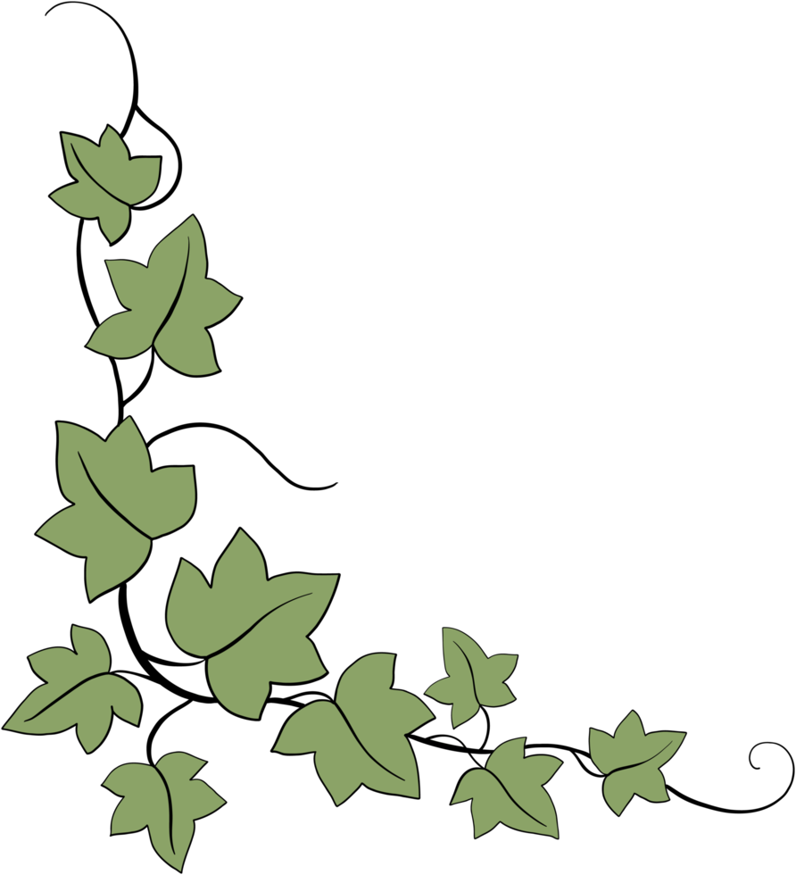 Simplicity ivy freehand drawing png