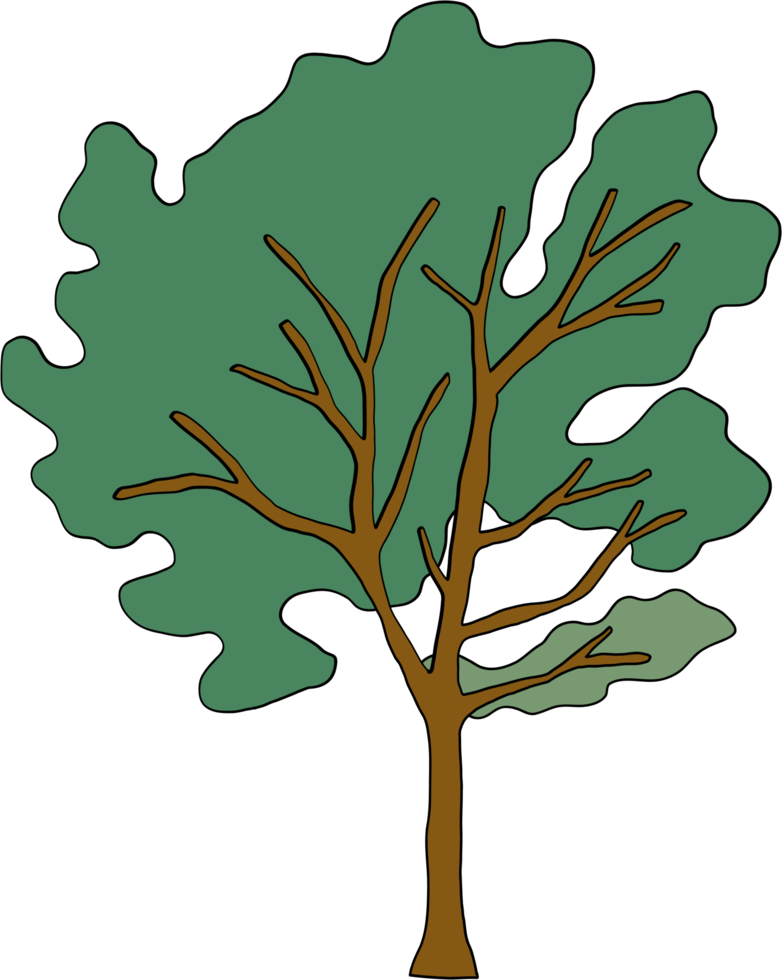 simplicity tree freehand drawing flat design. png