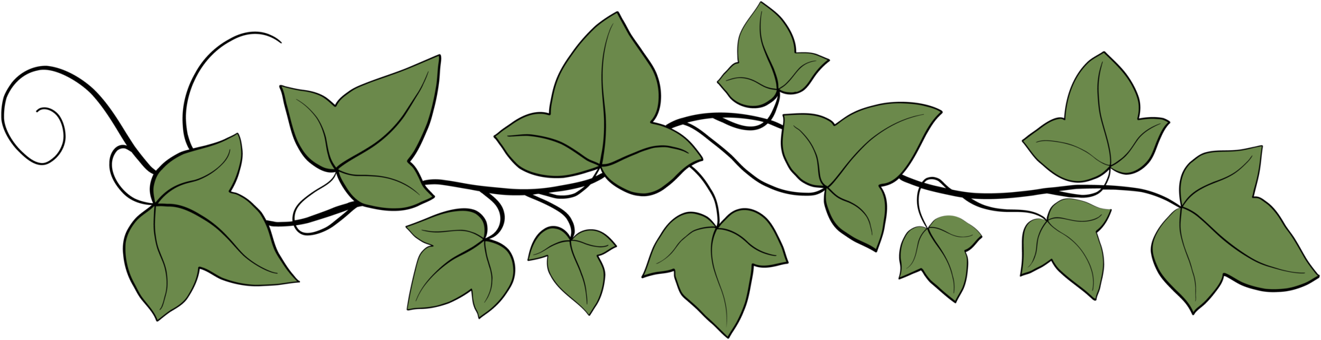 Simplicity ivy freehand drawing png