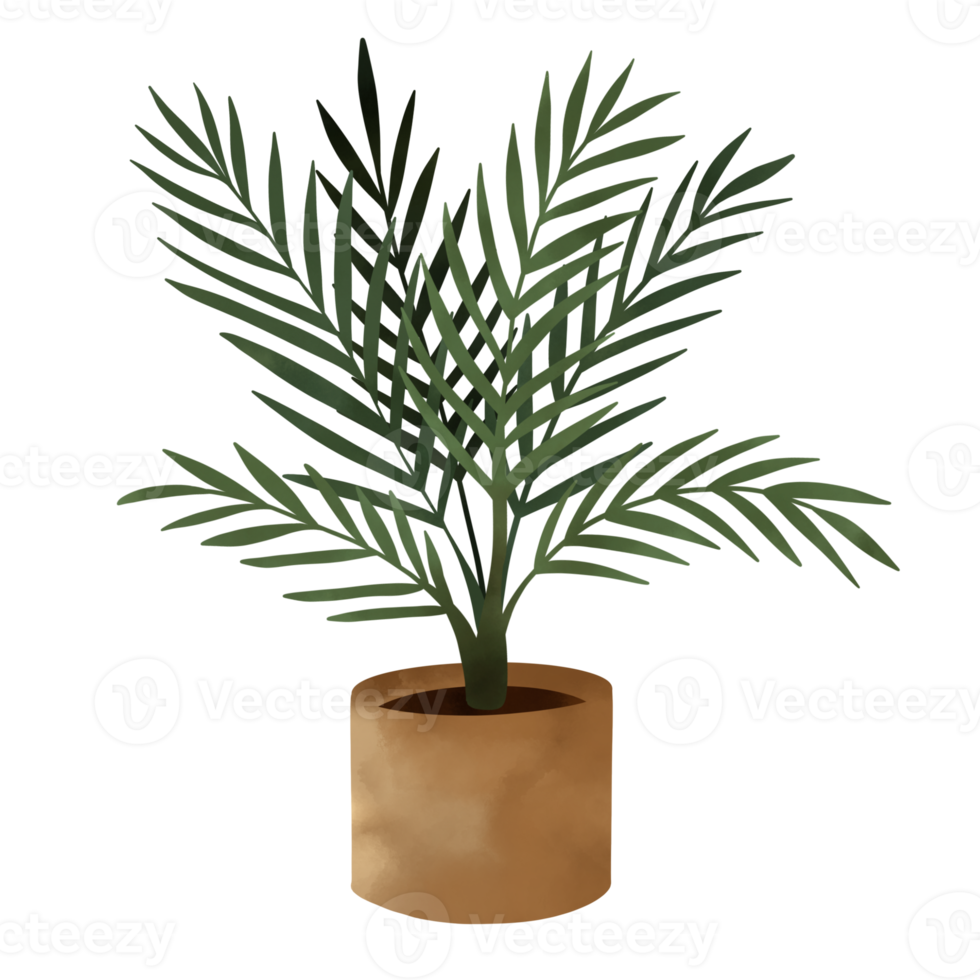 Potted Plants Illustration. House Plants. png