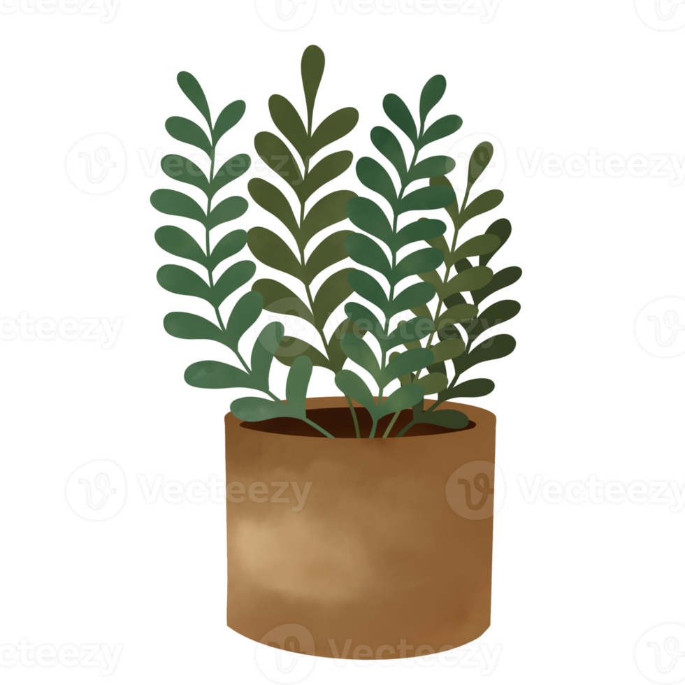 Potted Plants Illustration. House Plants. png