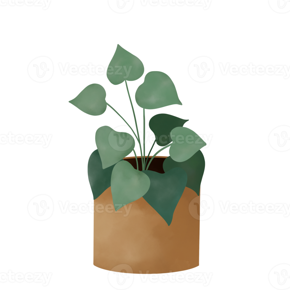 illustration de plantes en pot. plantes d'intérieur. png