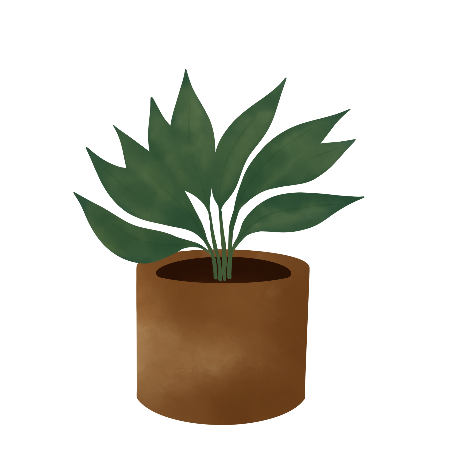 Potted Plants Illustration. House Plants. 15341593 PNG