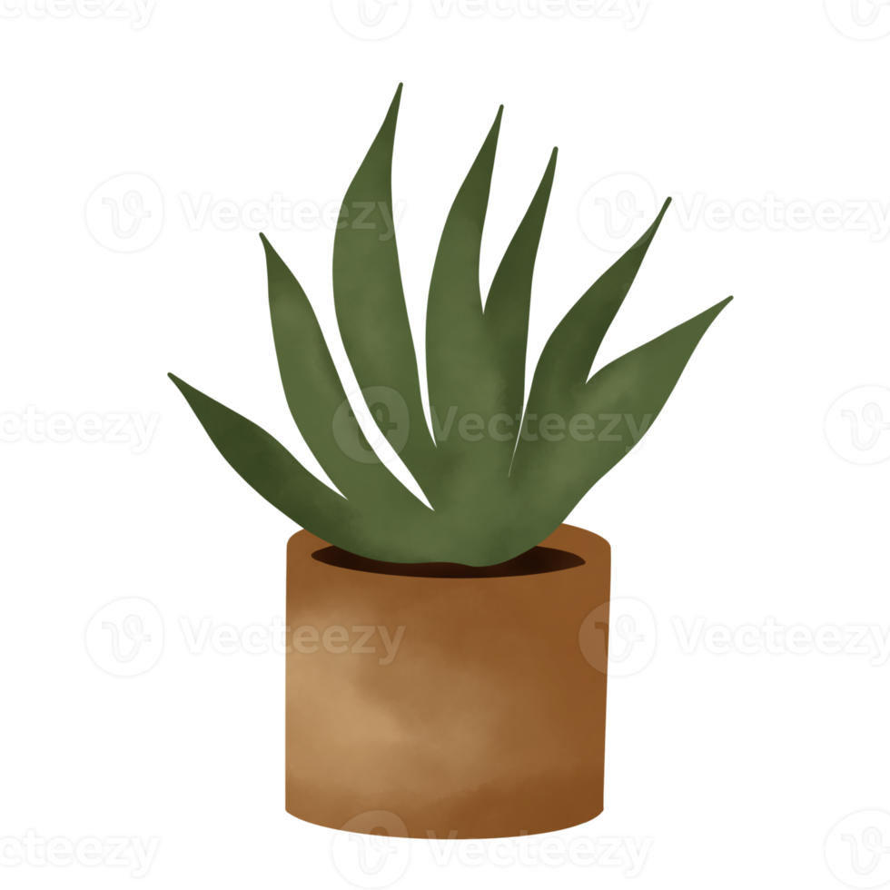 illustration de plantes en pot. plantes d'intérieur. png