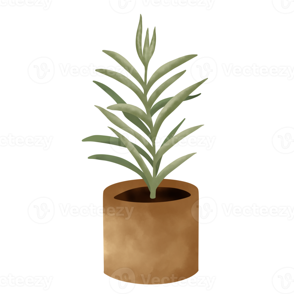 Potted Plants Illustration. House Plants. png