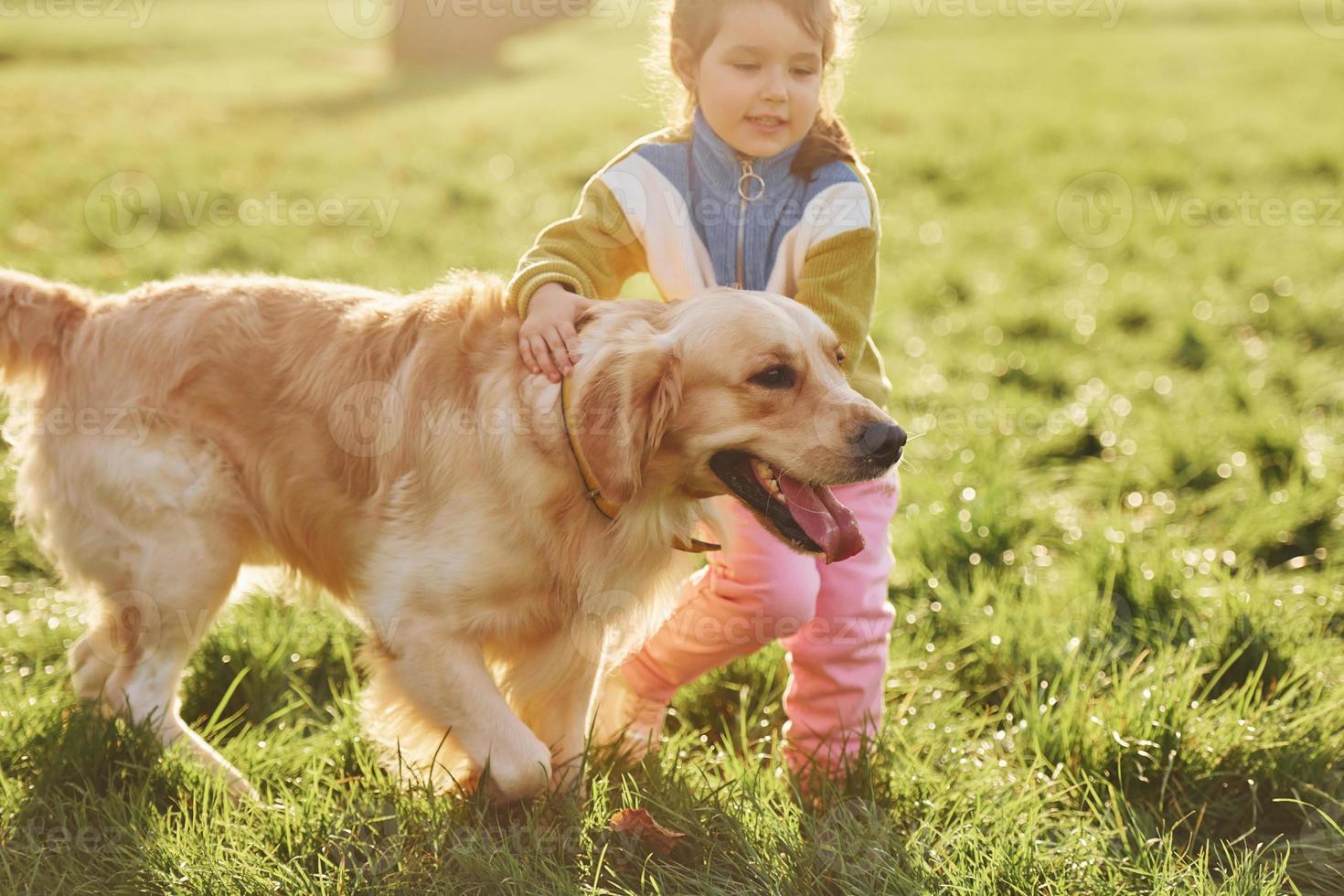 Little girl have a walk with Golden Retriever dog in the park at daytime photo