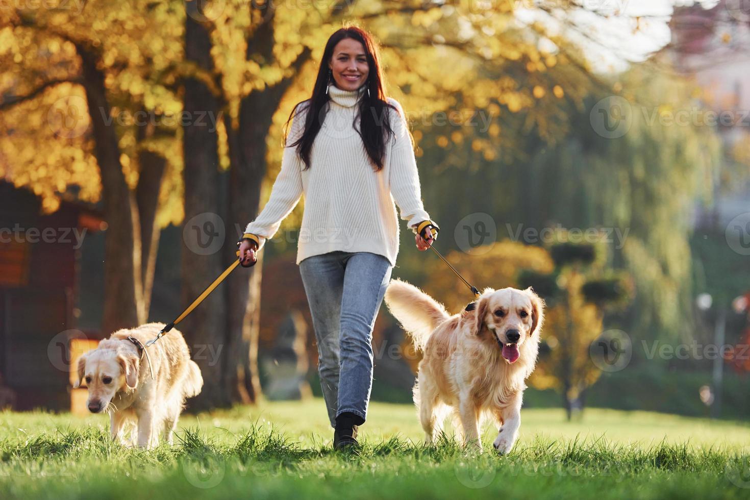 Brunette walks with two Golden Retriever dogs in the park at daytime photo