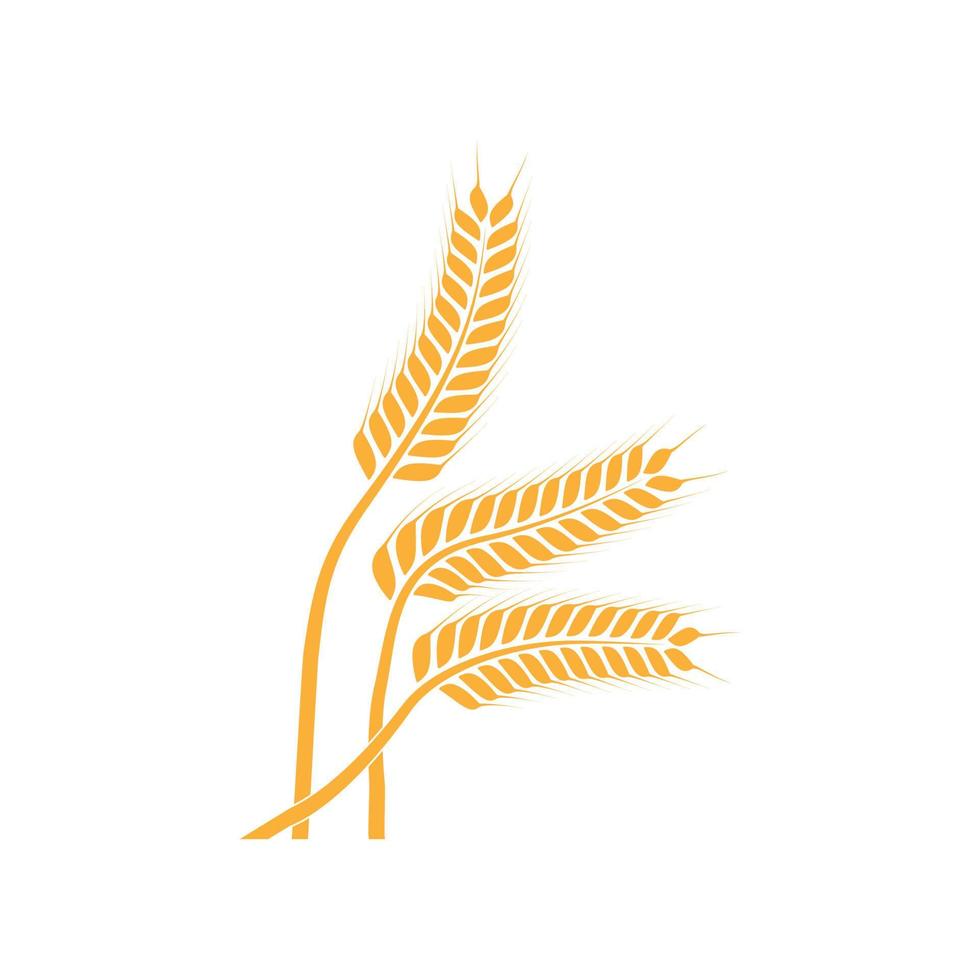 logo de trigo de agricultura vector