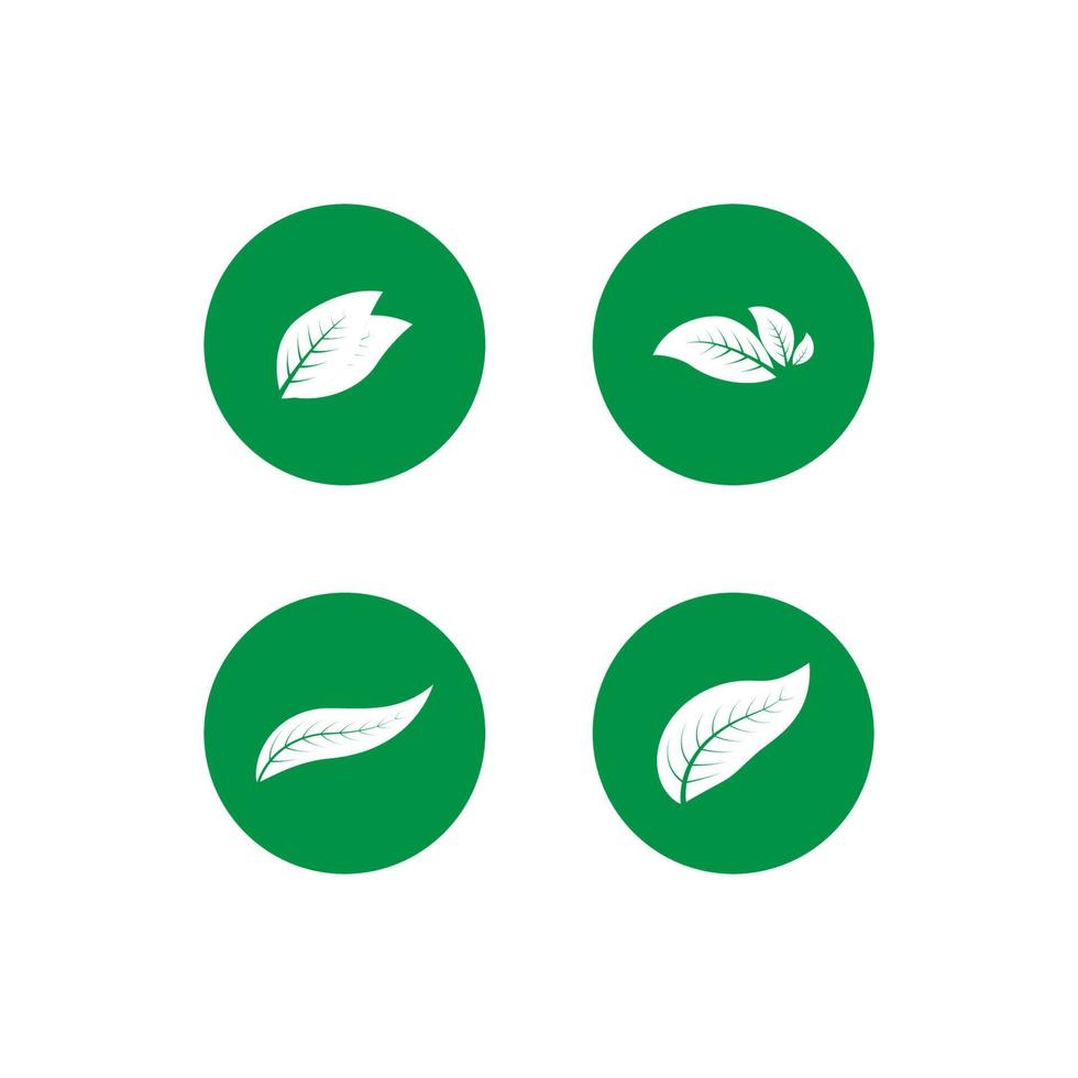 leaf nature logo vector
