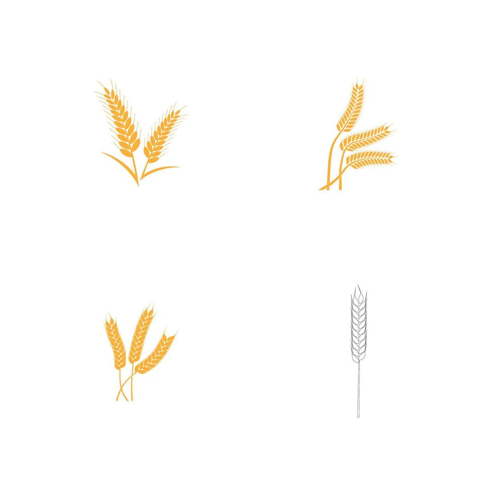 logo de trigo de agricultura vector