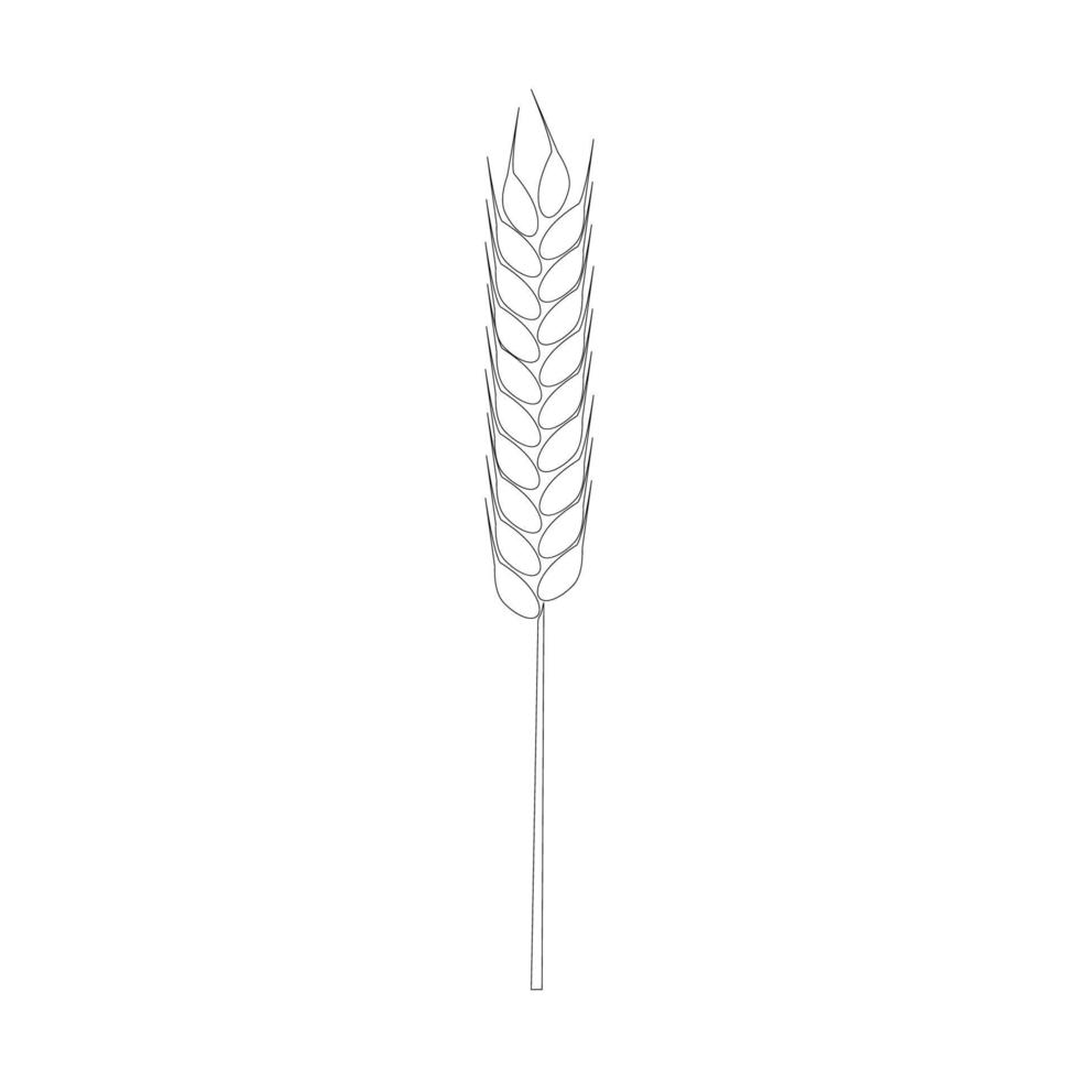 Agriculture wheat Logo vector