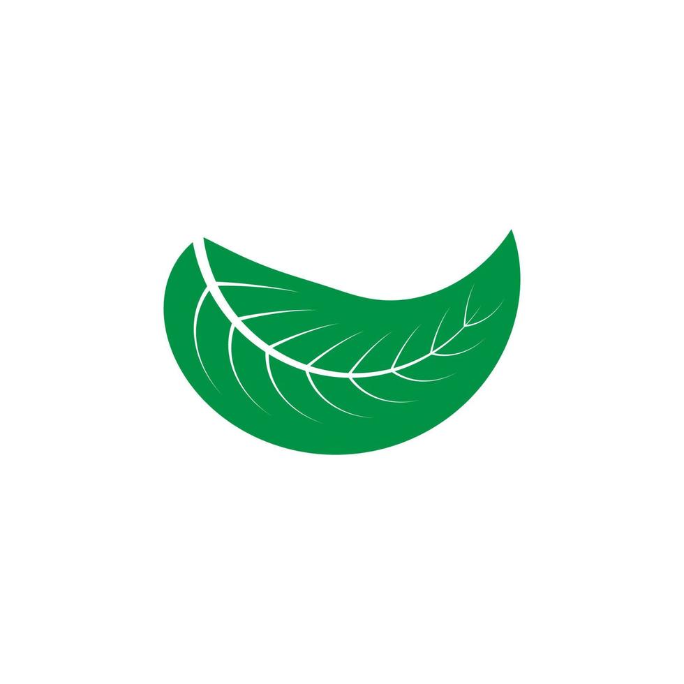 leaf nature logo vector