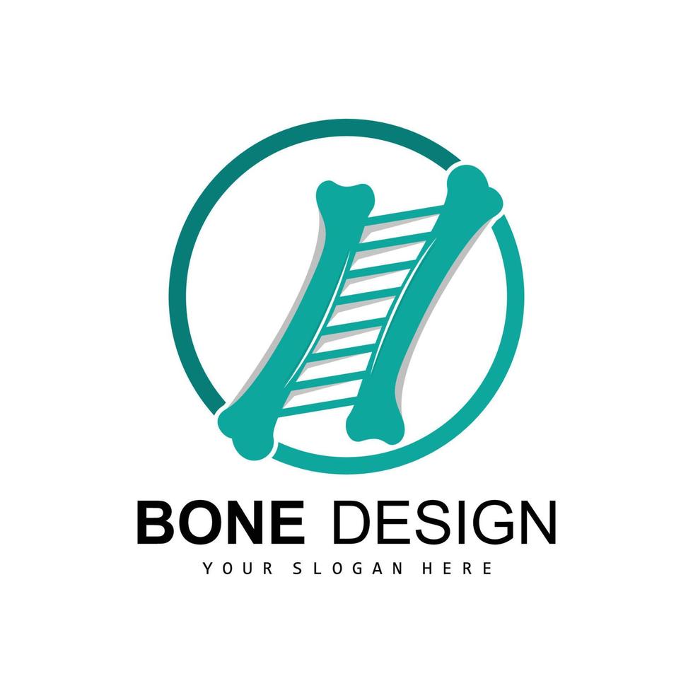 Bone Logo, Bone Care Vector, And Bone Medicine, Hospital, Health vector