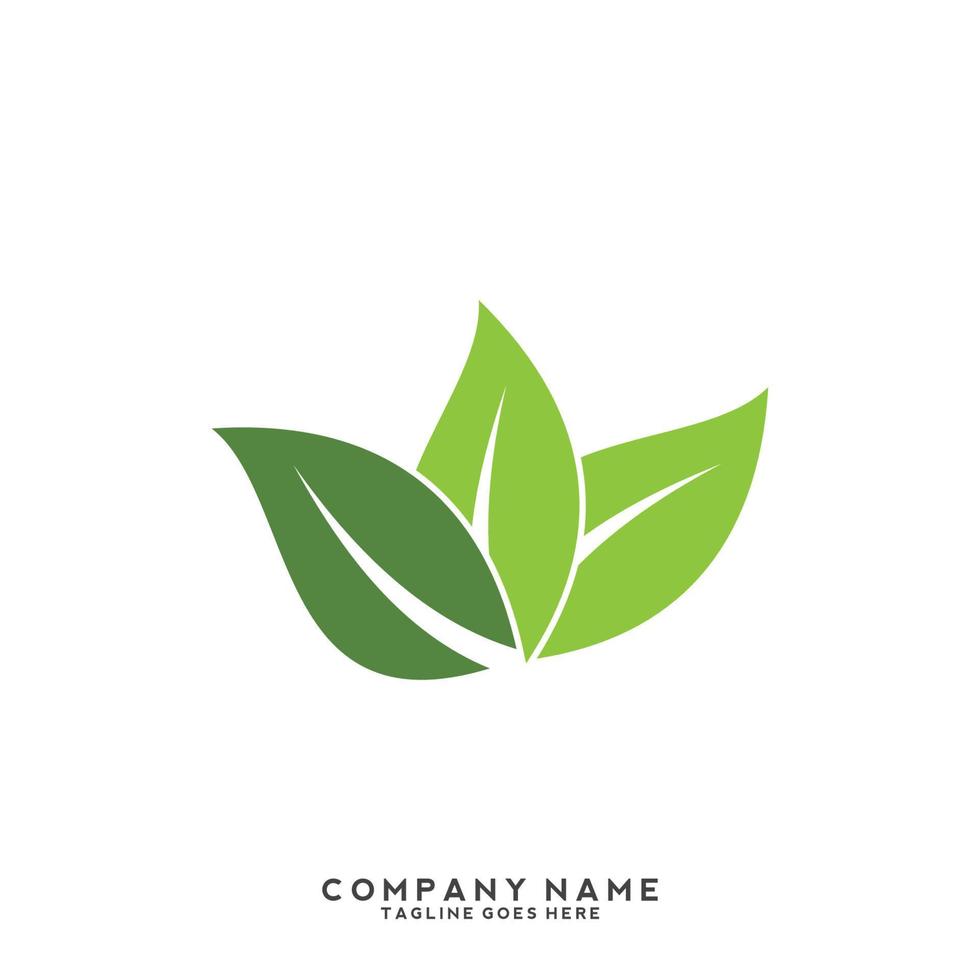 logotipo de hojas verdes. planta naturaleza eco jardín icono estilizado vector botánico.