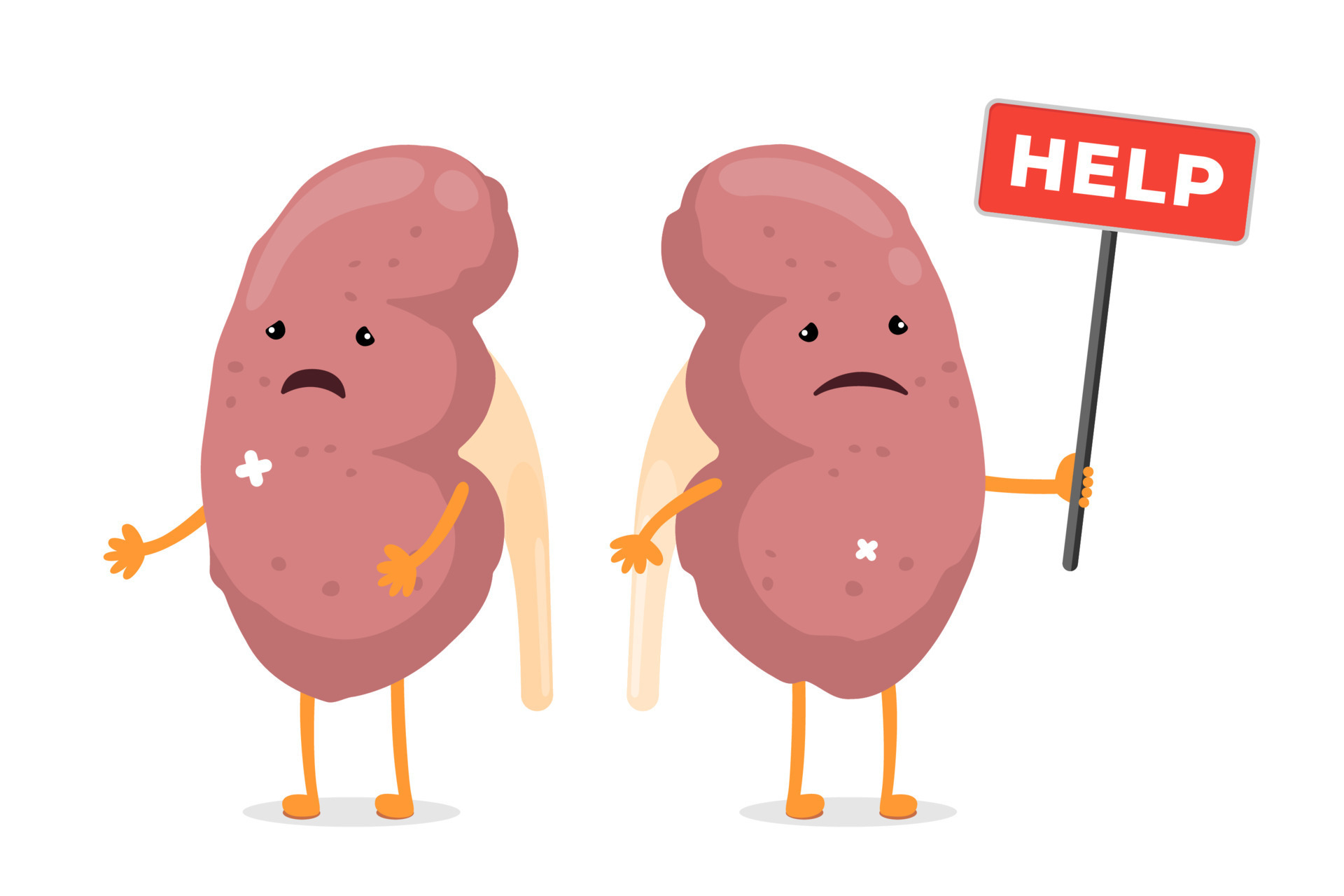 Cartoon sad suffering sick kidney characters. Unhealthy damage genitourinary system human internal organ mascot with help sign. Illness and pain kidneys concept. Cartoon vector eps illustration 15360354 Vector Art at Vecteezy Cartoon sad suffering sick kidney characters. Unhealthy damage genitourinary system human internal organ mascot with help sign. Illness and pain kidneys concept. Cartoon vector eps illustration 15360354 Vector Art at Vecteezy
