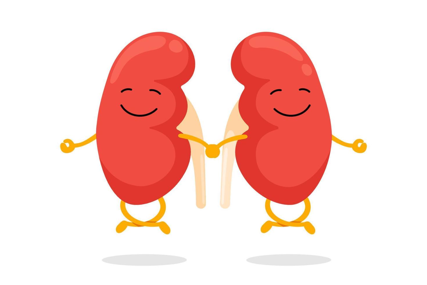 Cute healthy human kidneys characters relaxation meditate. Funny kidney mascot meditation in lotus yoga pose. Cartoon genitourinary system internal organ good condition. Insides calm and relax. Vector