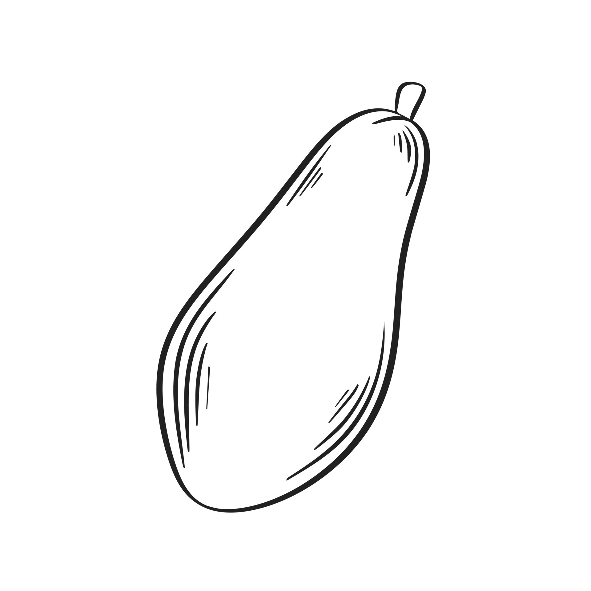 Papaya simple outline ink sketch 15360430 Vector Art at Vecteezy