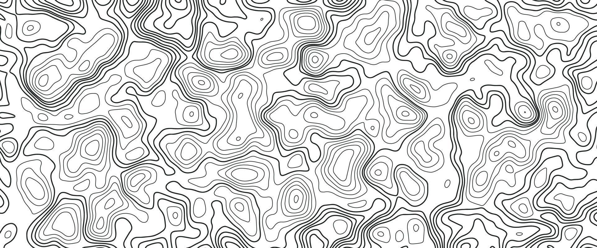 Abstract Blank Detailed Topographic Contour Map Subtle White Vector