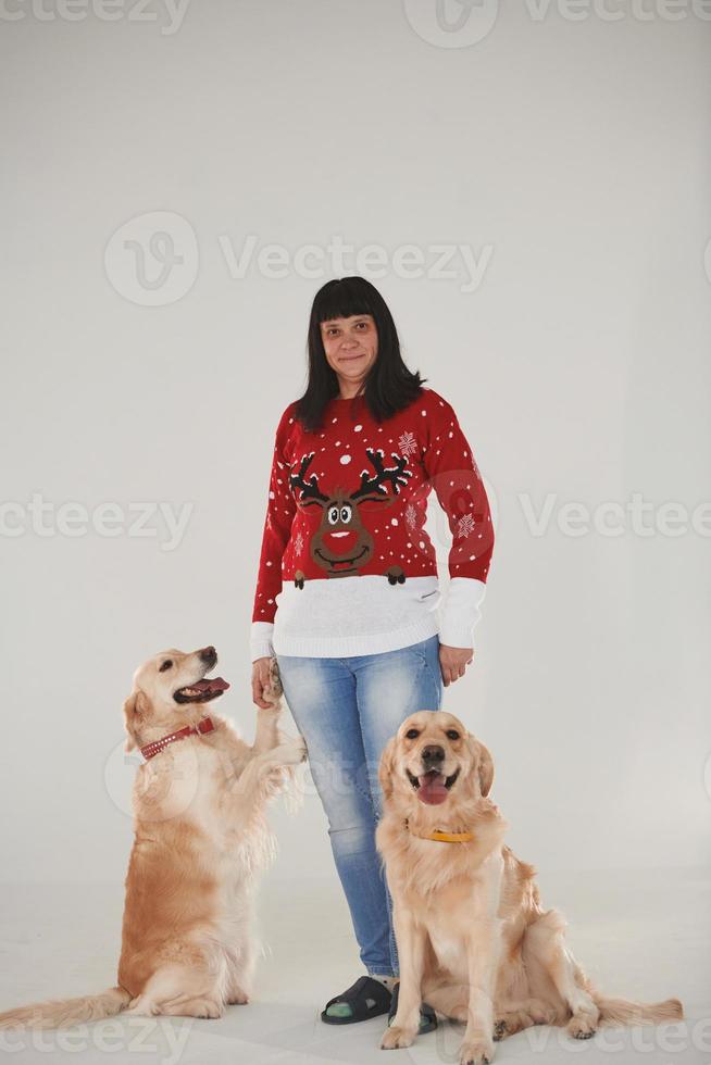 la mujer está con sus dos golden retrievers en el estudio con fondo blanco foto