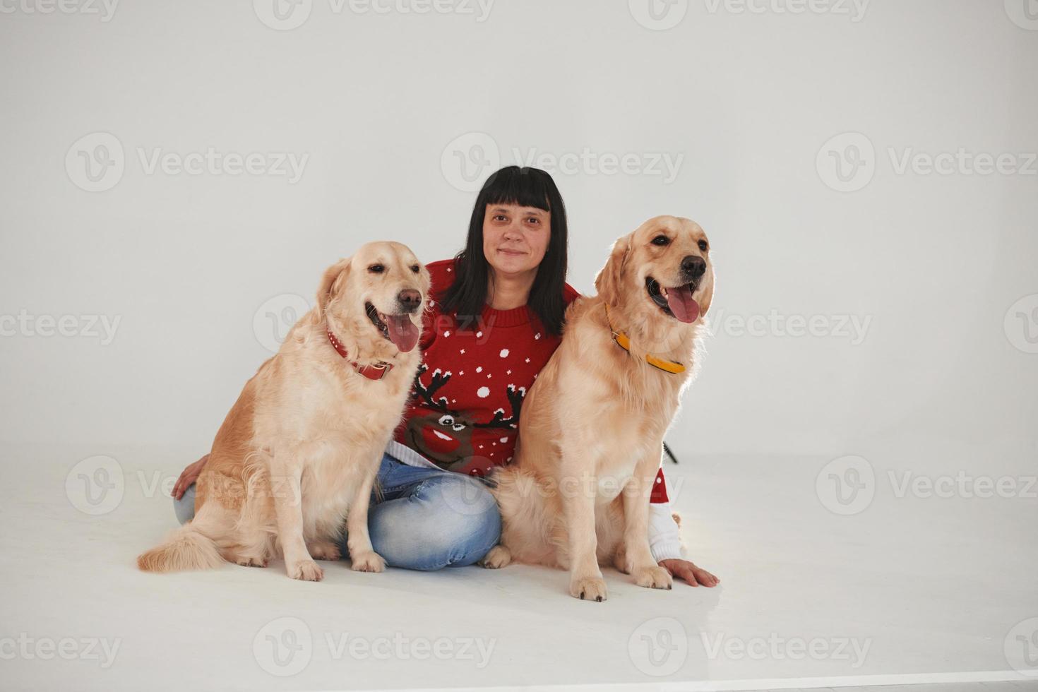 Woman is with her two Golden retrievers in the studio against white background photo