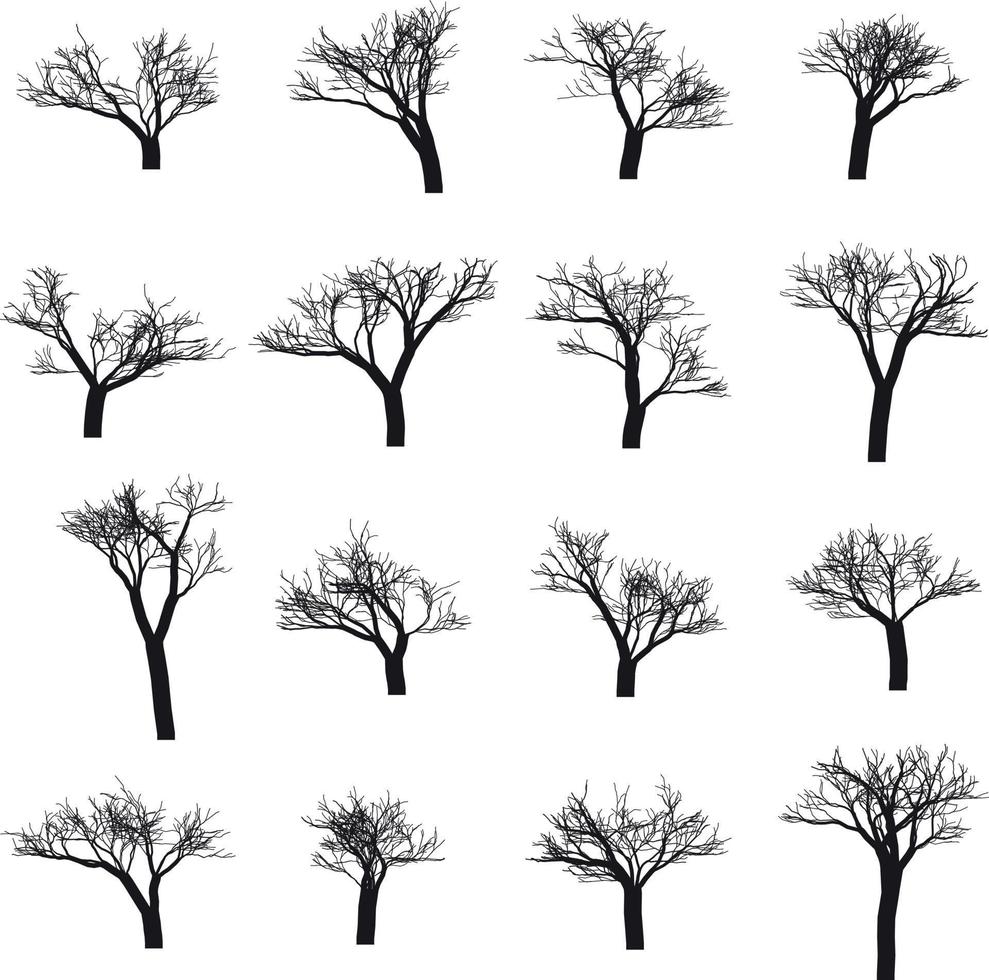 Tree Shapes without Leaves, Leafless Trees Illustration, Dead Tree vector