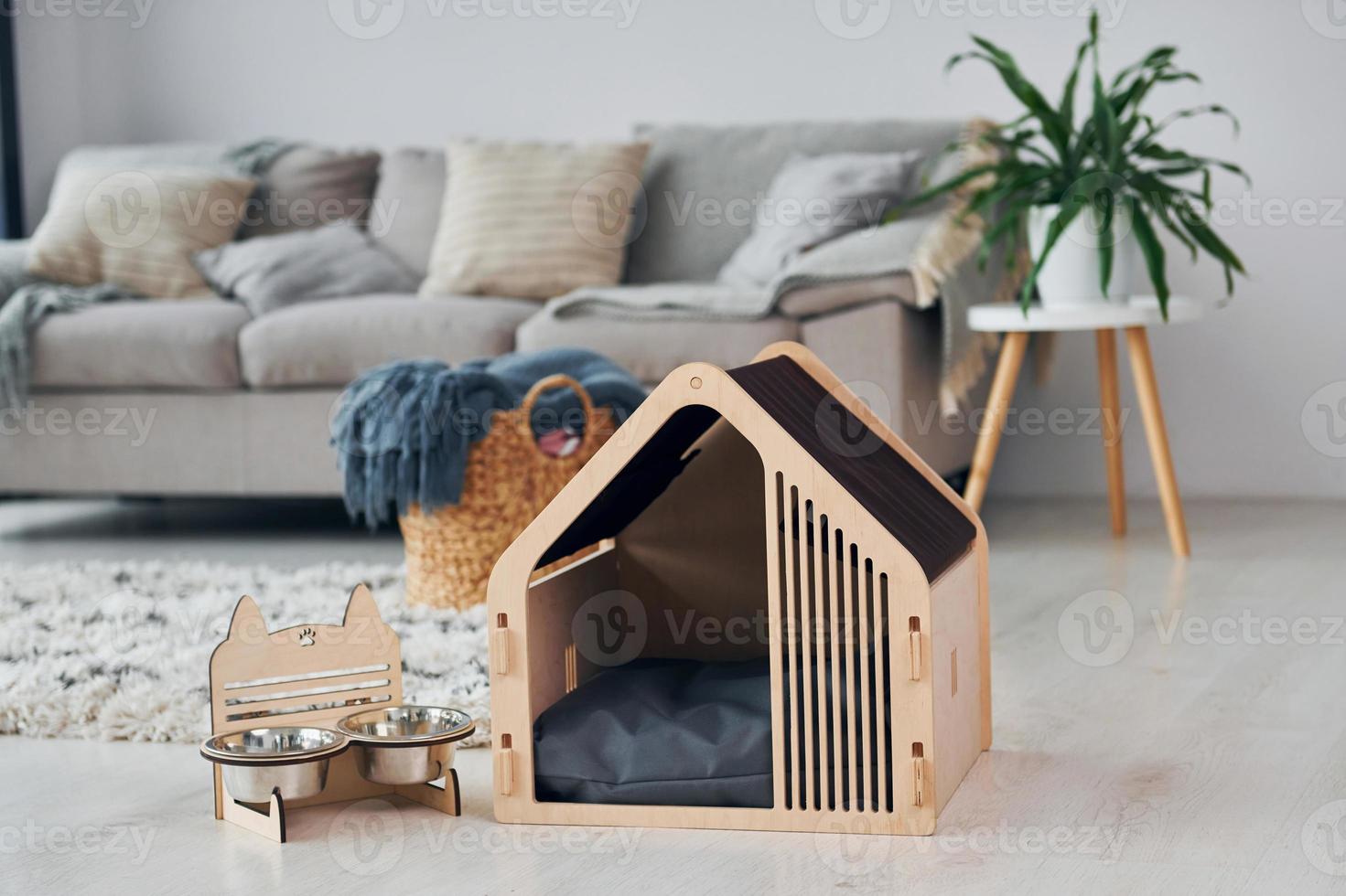 Little pet booth is on the floor in modern domestic room photo