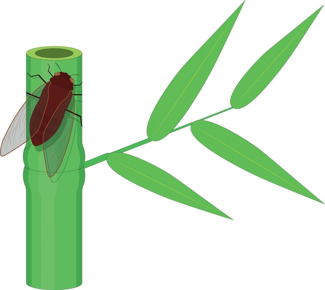 Cicada on fresh green bamboo stem vector illustration