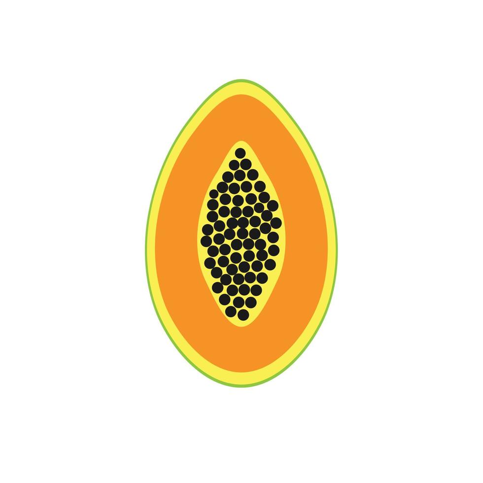 Vector papaya fruit