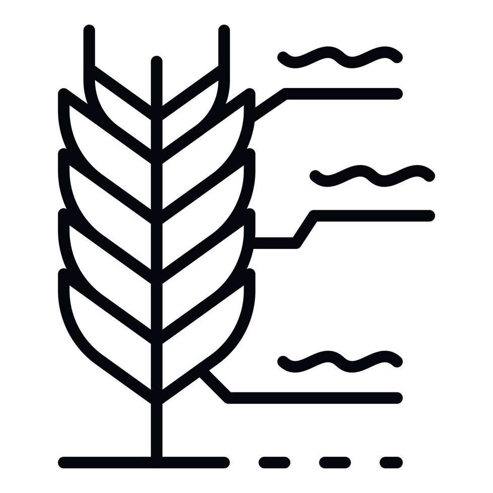 Wheat plant icon, outline style vector