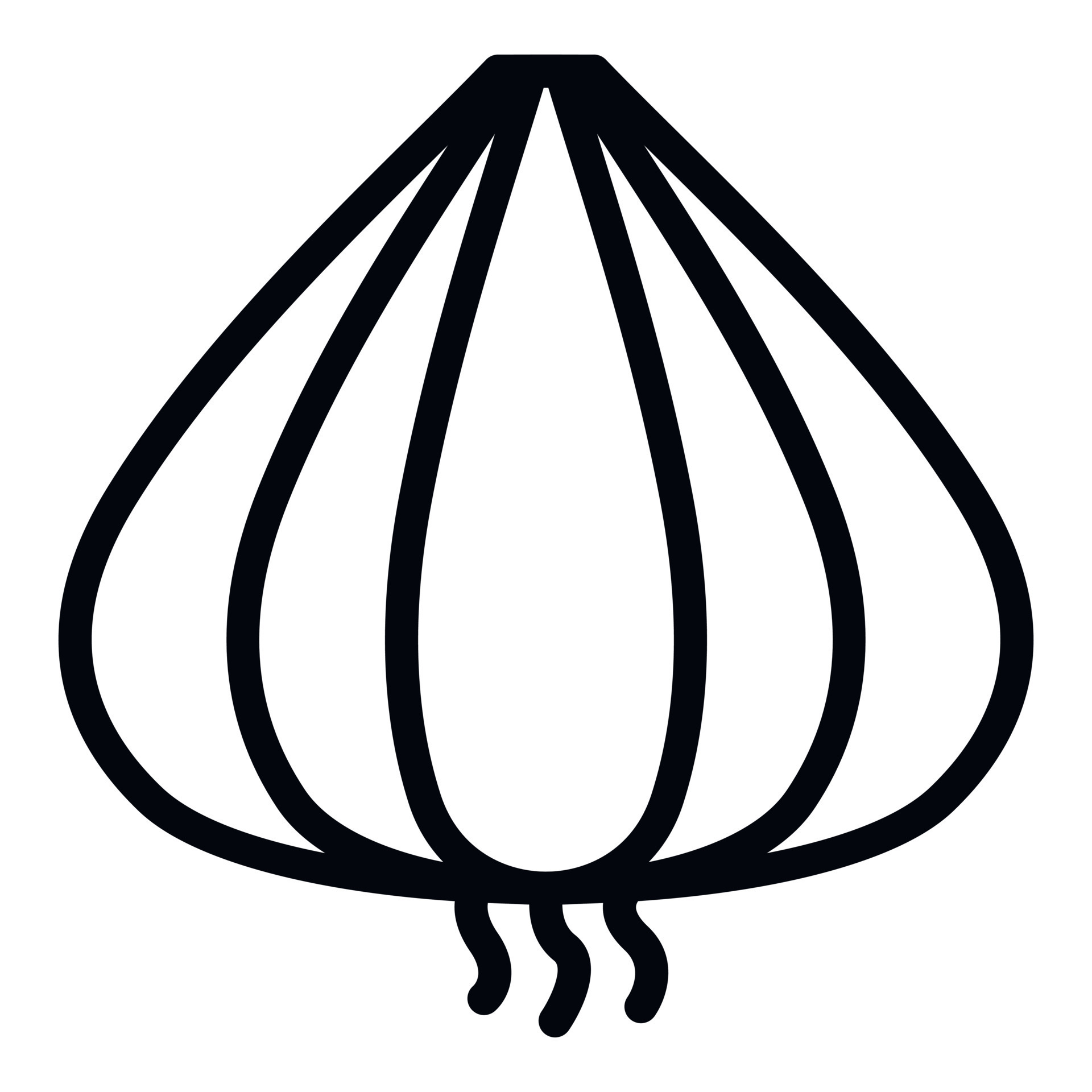 Pattern Wellness Organic Garlic
