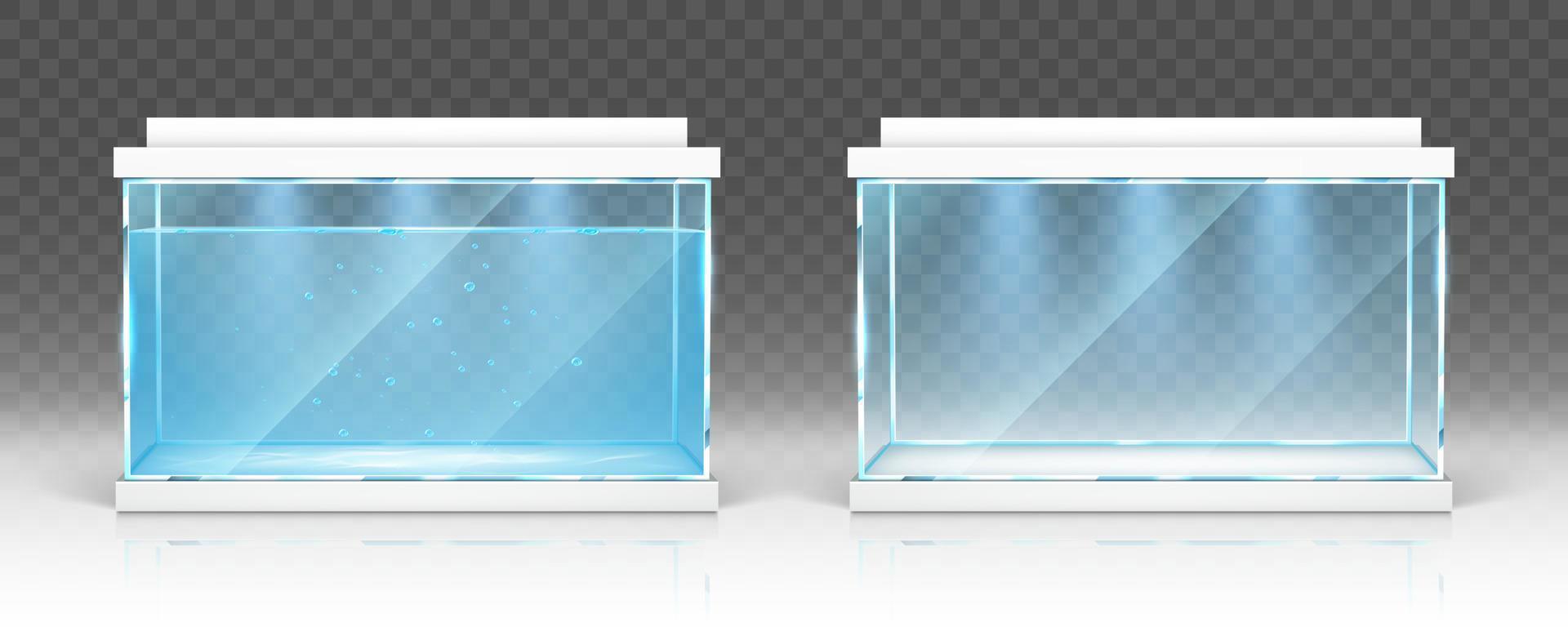 Glass aquarium with water and empty terrarium vector
