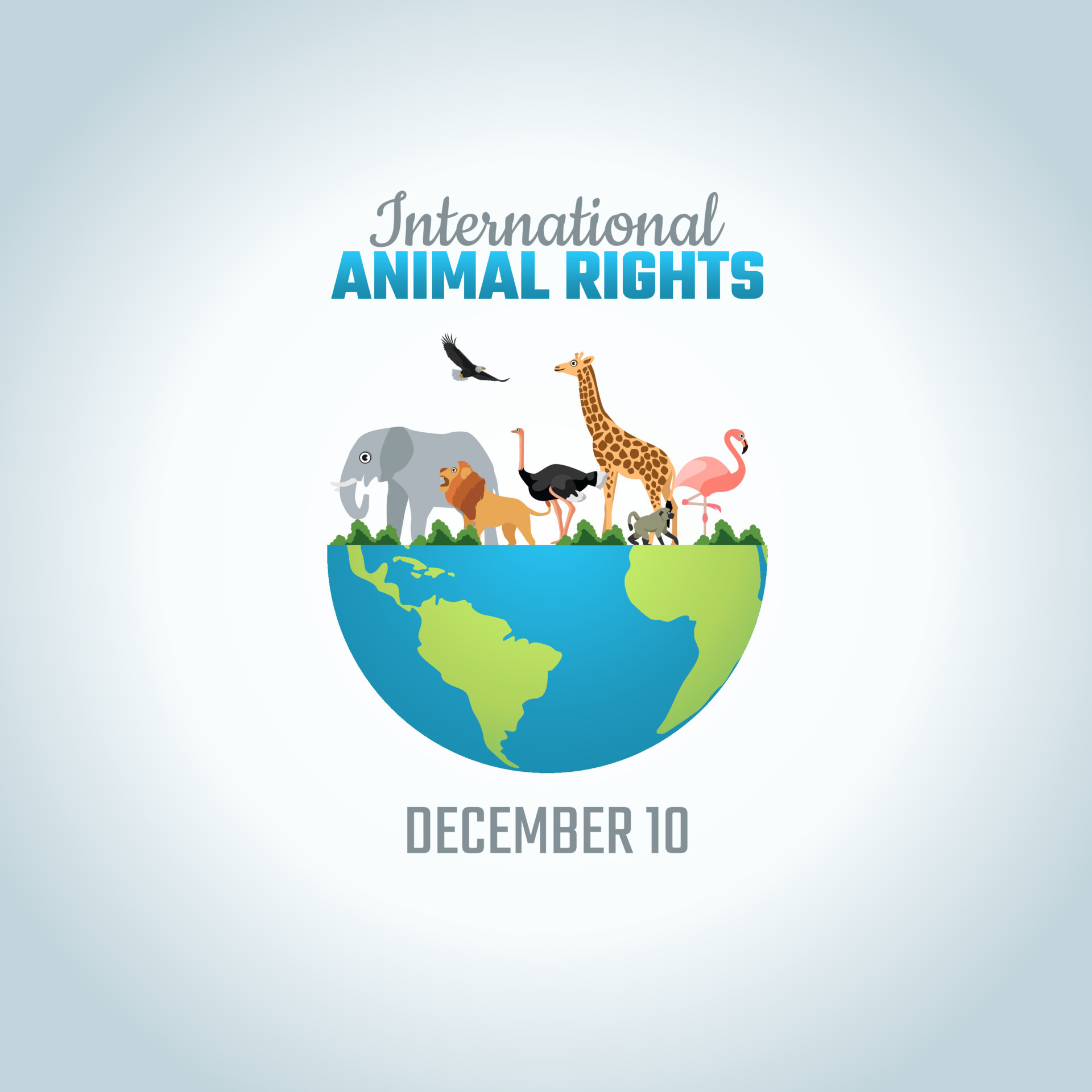 vector graphic of international animal rights good for international animal  rights celebration. flat design. flyer  illustration. 15369938  Vector Art at Vecteezy
