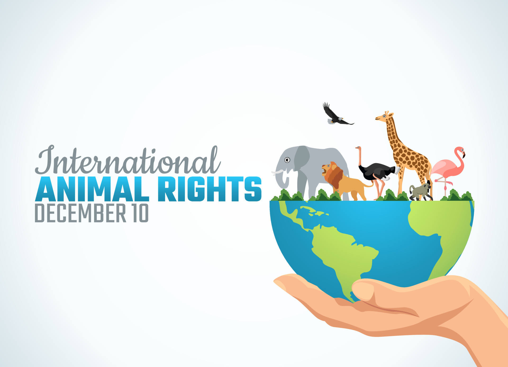 vector graphic of international animal rights good for international animal  rights celebration. flat design. flyer  illustration. 15369940  Vector Art at Vecteezy