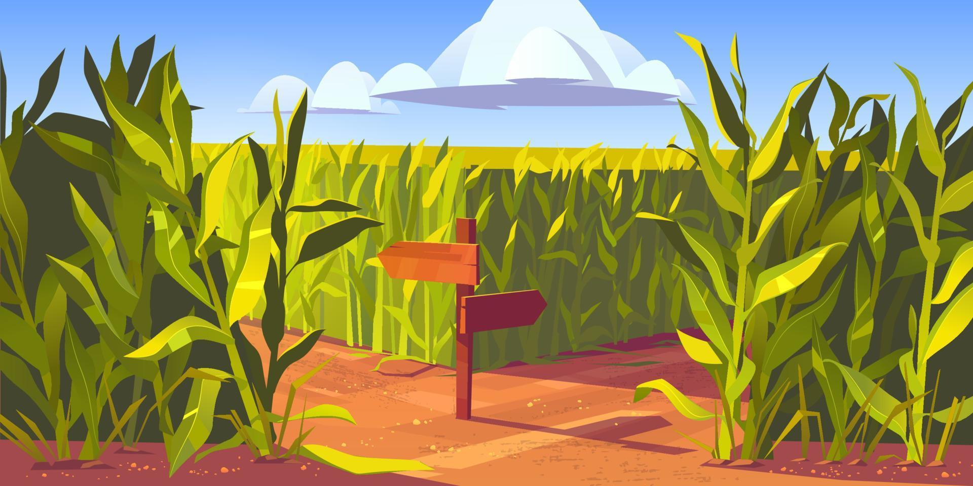 campos de maíz verde plantas de maíz dibujos animados de camino arenoso vector