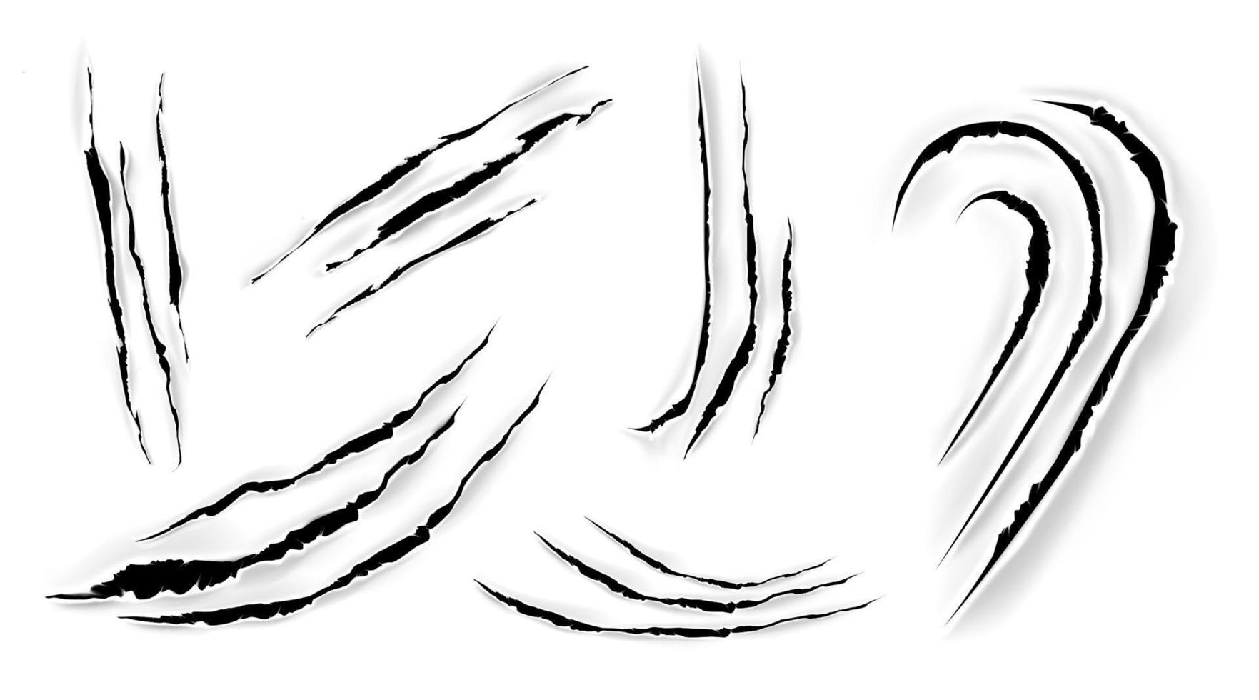 Cat claw scratches, scrapes on white paper vector