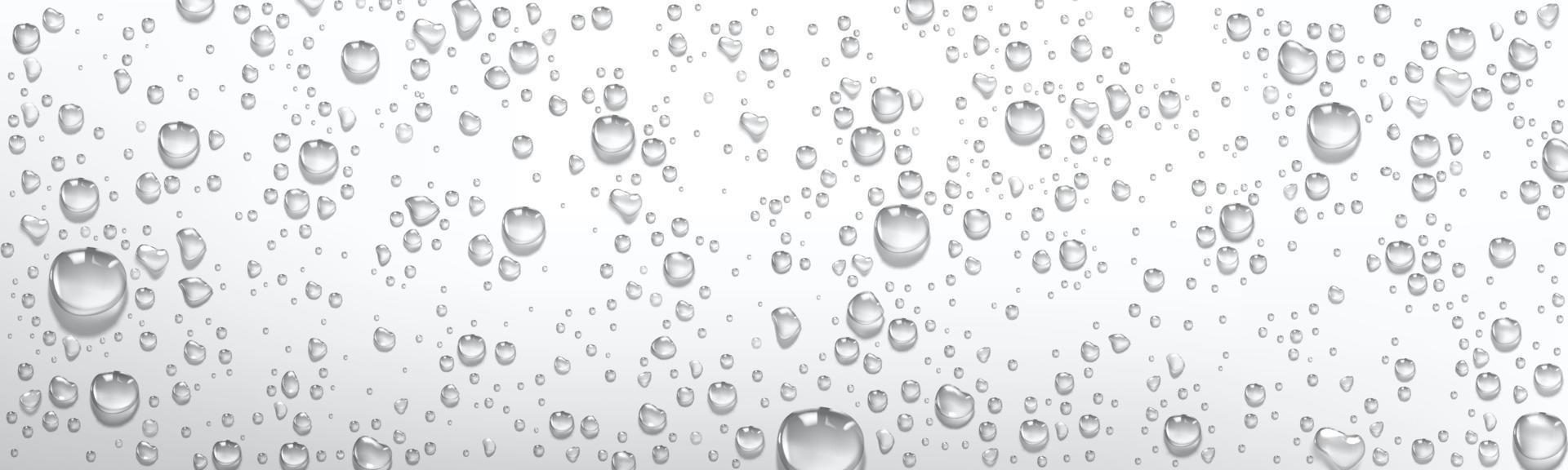 gotas de agua de condensación sobre fondo gris plateado vector