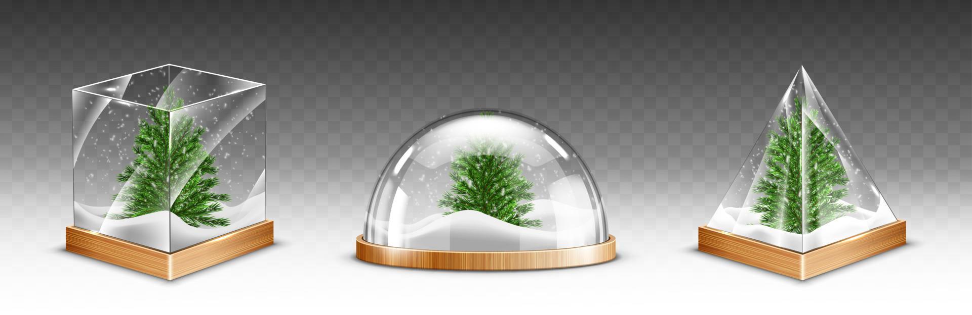 Snow globes with christmas tree on wooden base vector