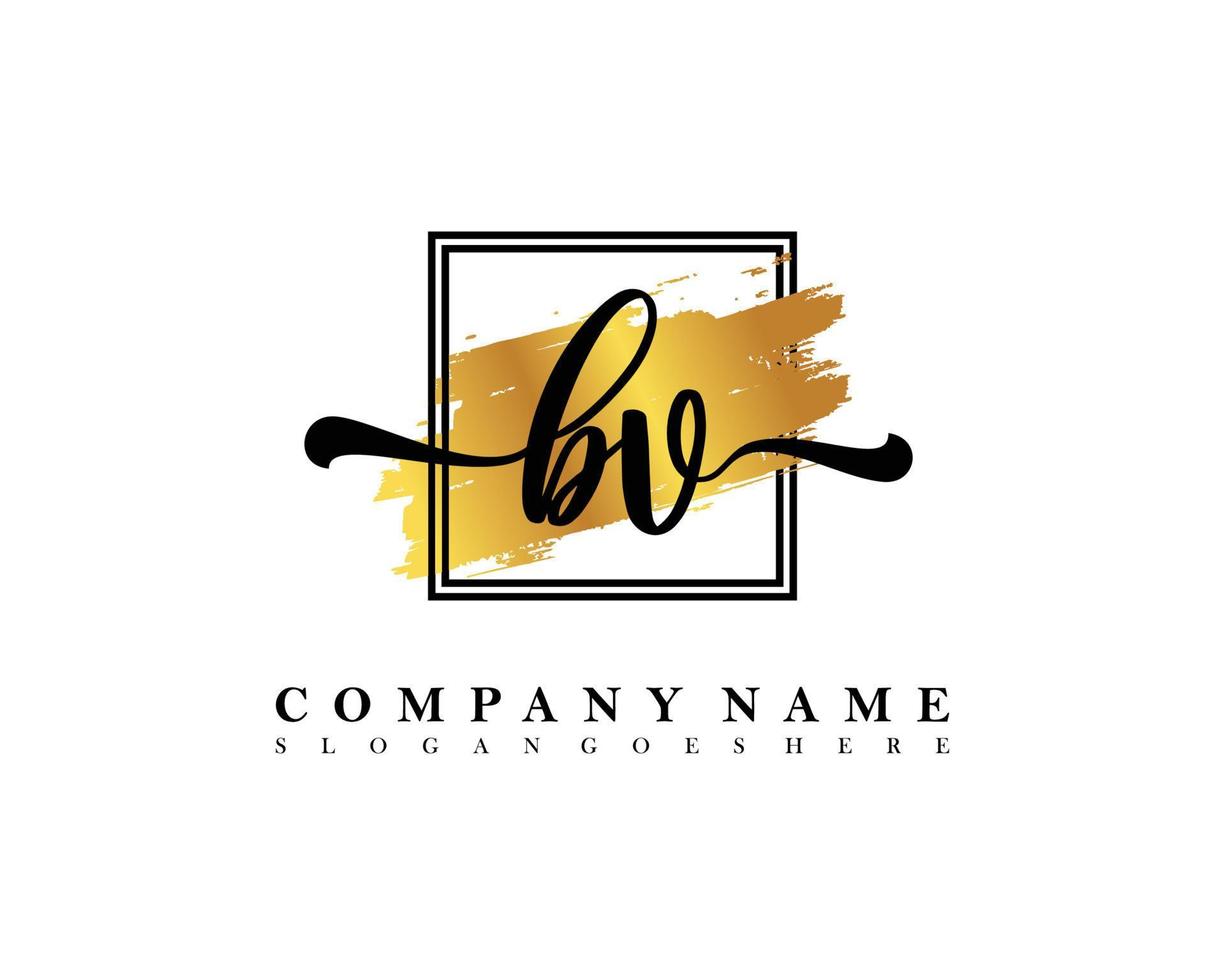 BV Initial handwriting logo concept vector