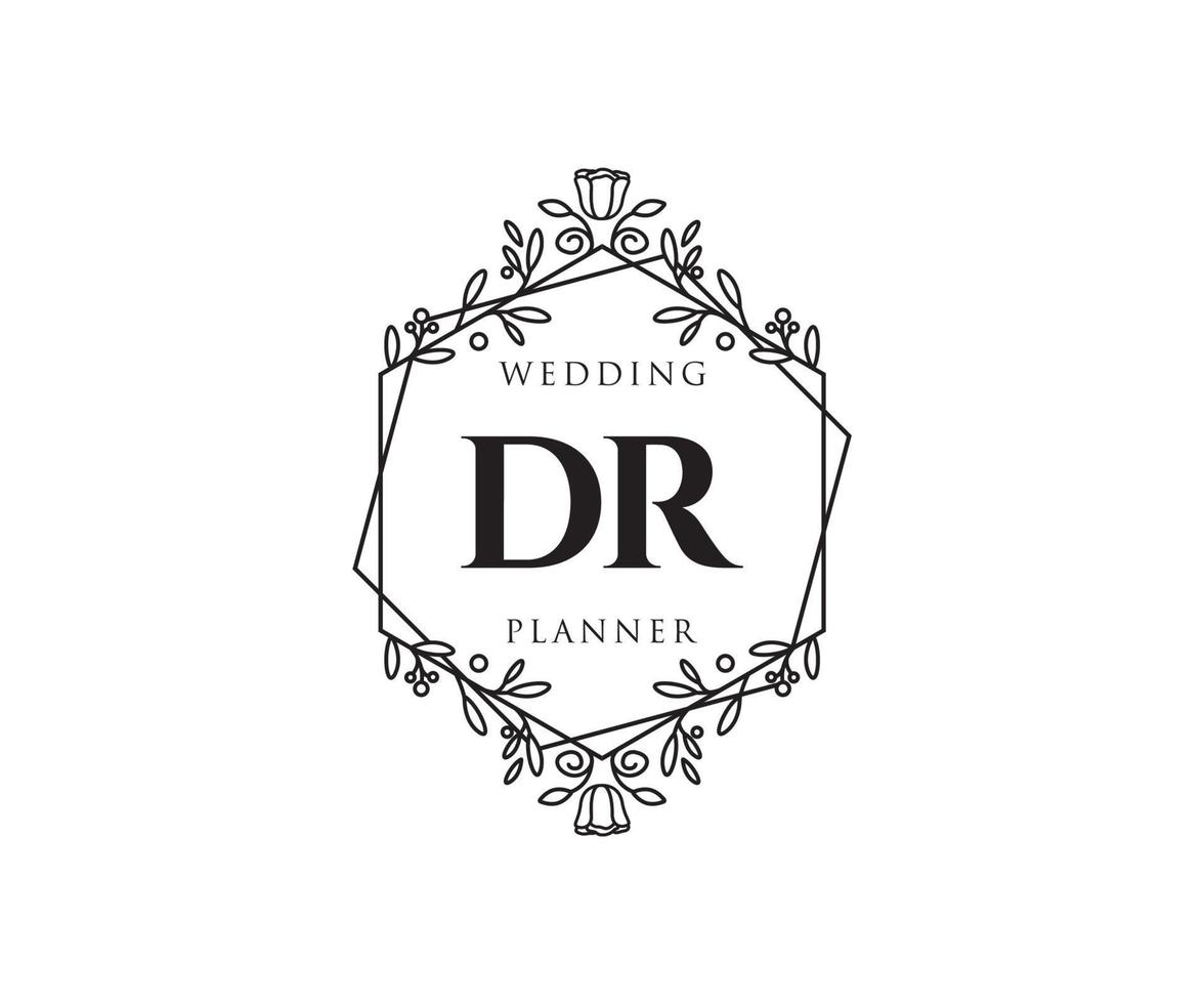 colección de logotipos de monograma de boda con letras iniciales dr, plantillas florales y minimalistas modernas dibujadas a mano para tarjetas de invitación, guardar la fecha, identidad elegante para restaurante, boutique, café en vector