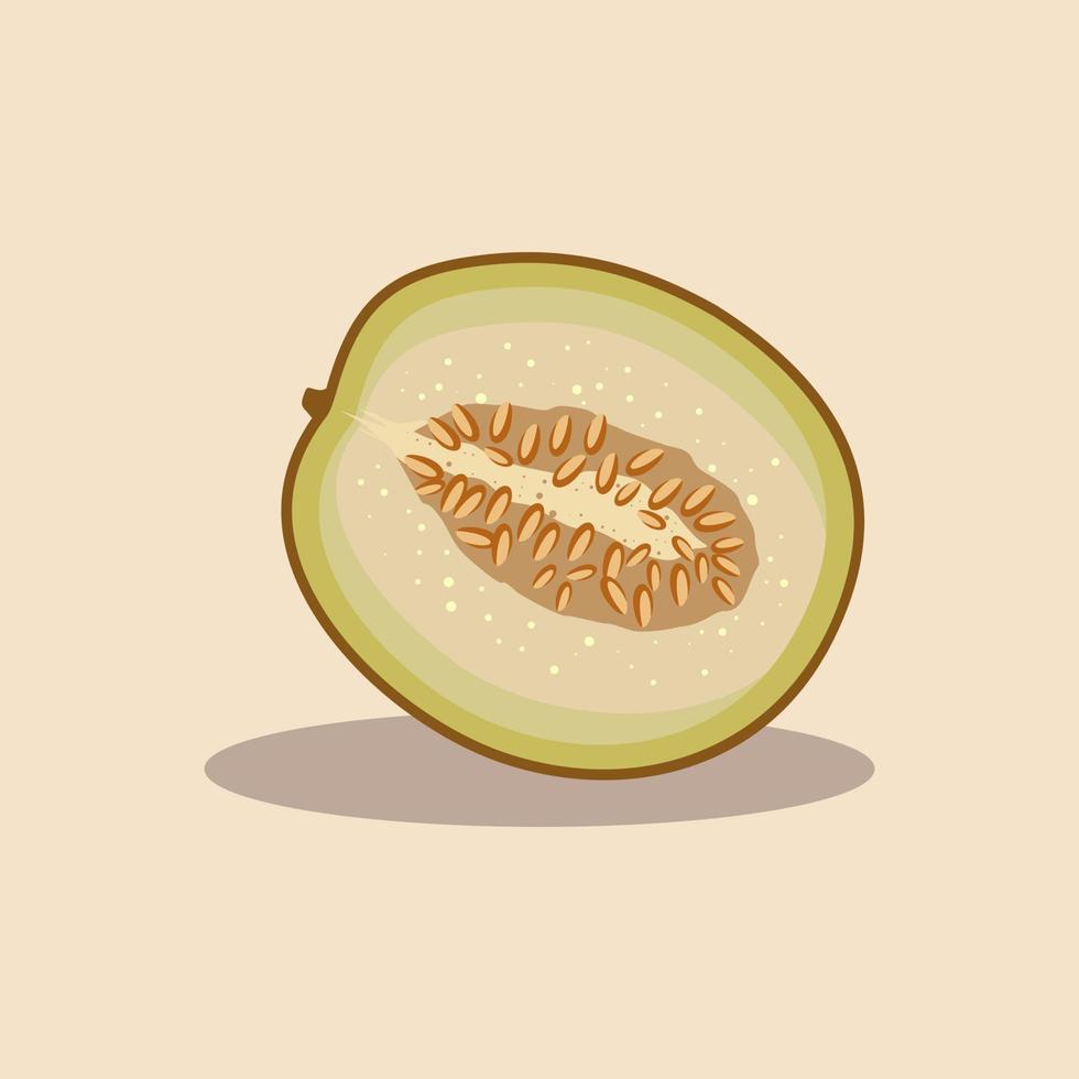 Fresh melon drawn cartoon illustration vector