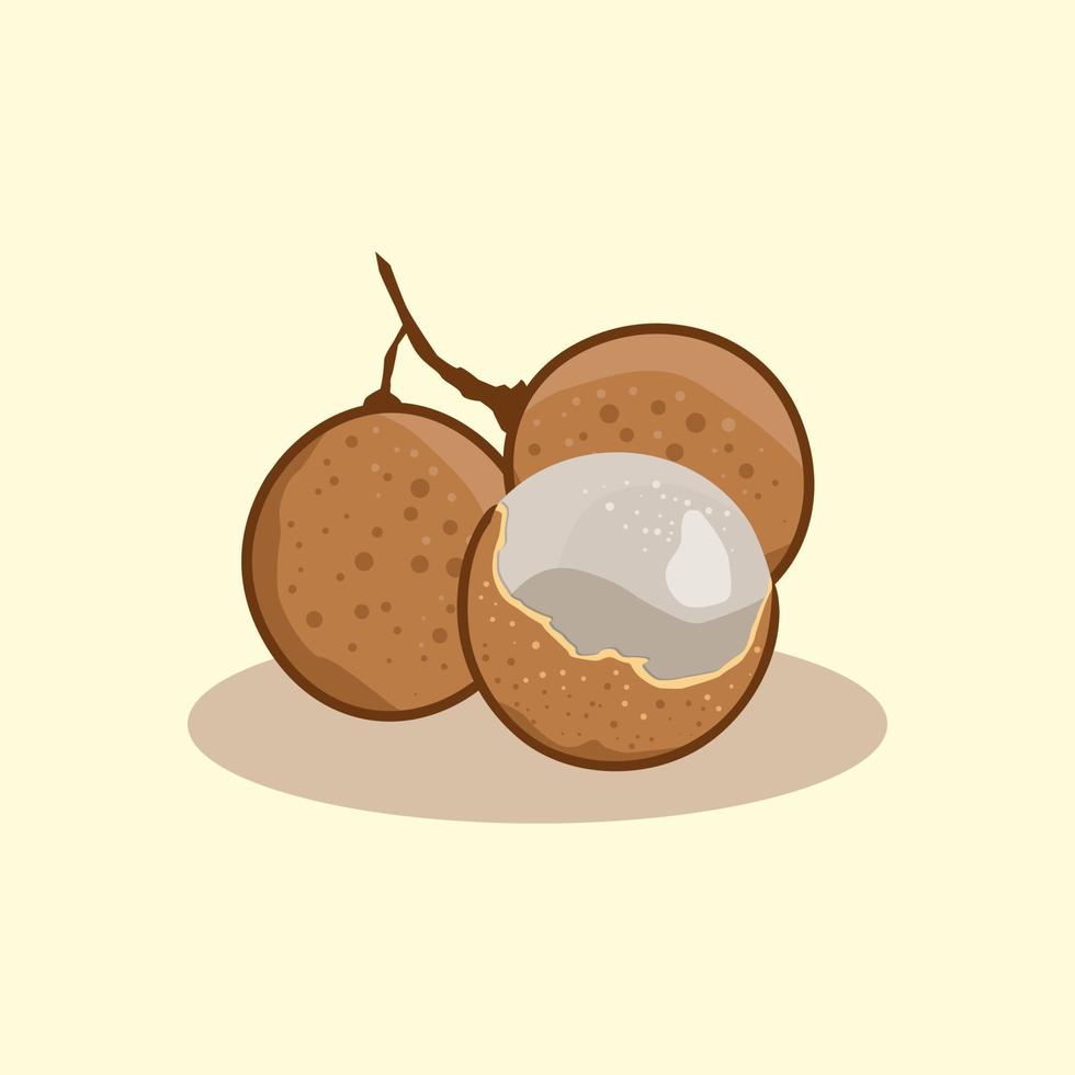 Fresh longan fruit hand drawn cartoon illustration vector