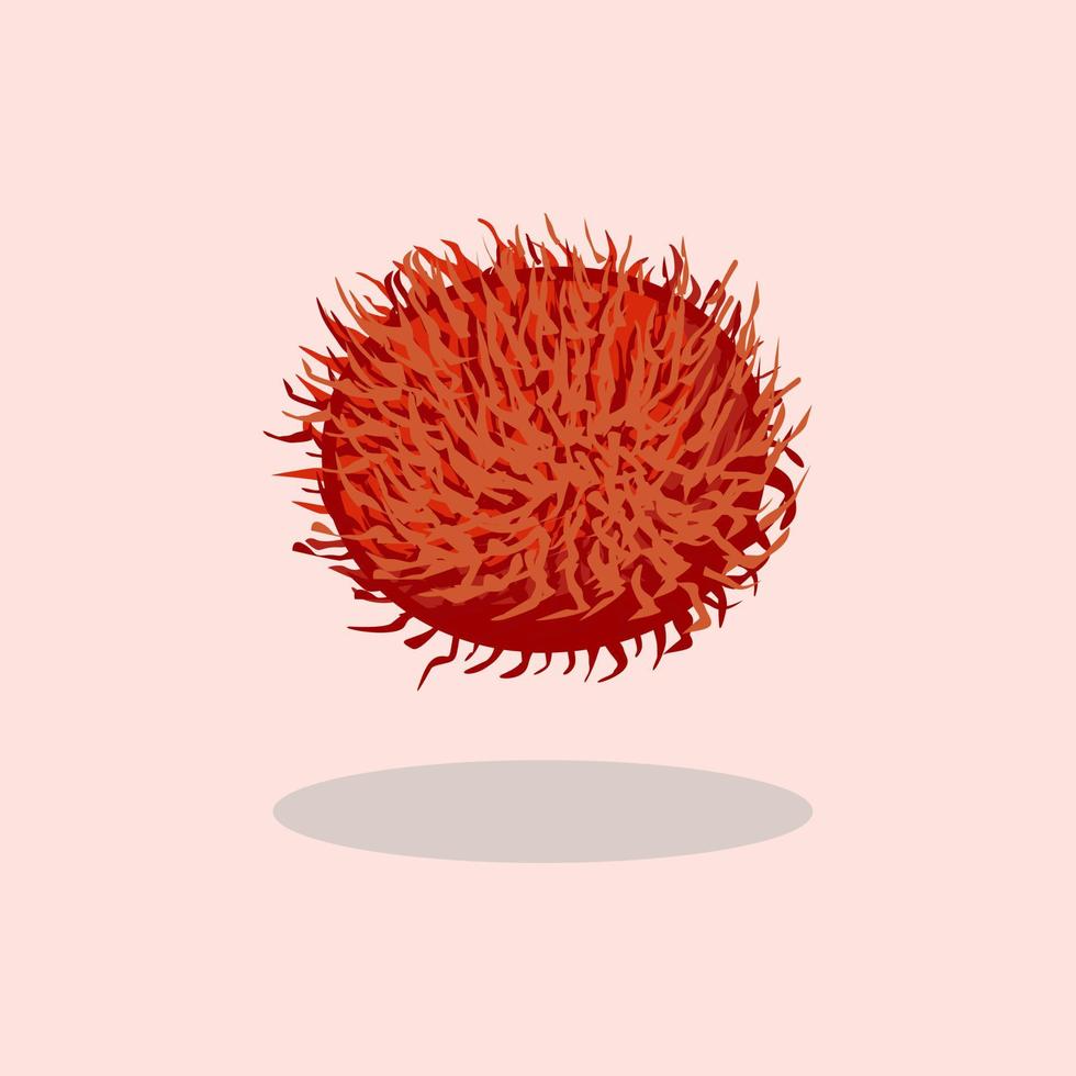 Fresh rambutan hand drawn cartoon illustration vector